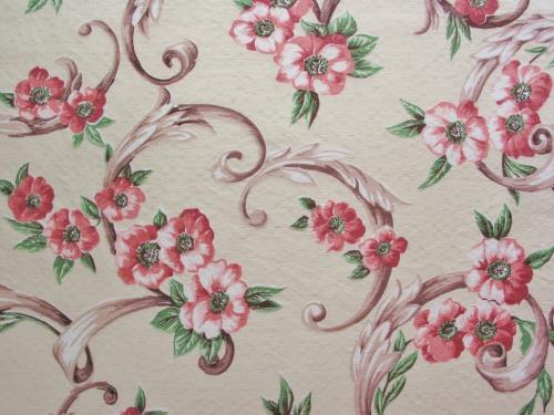 Vintage Pink Roses or Dogwood Flowers on Cream